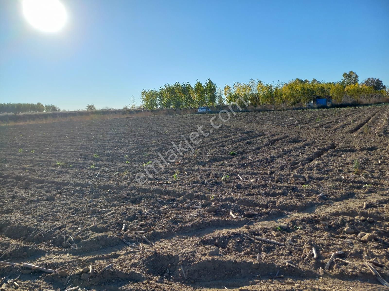 Edirne Merkez Bosna Köyü Satılık Tarla Edirne Bosnaköyde Satılık 4263m2 Satılık Bahçeyeri