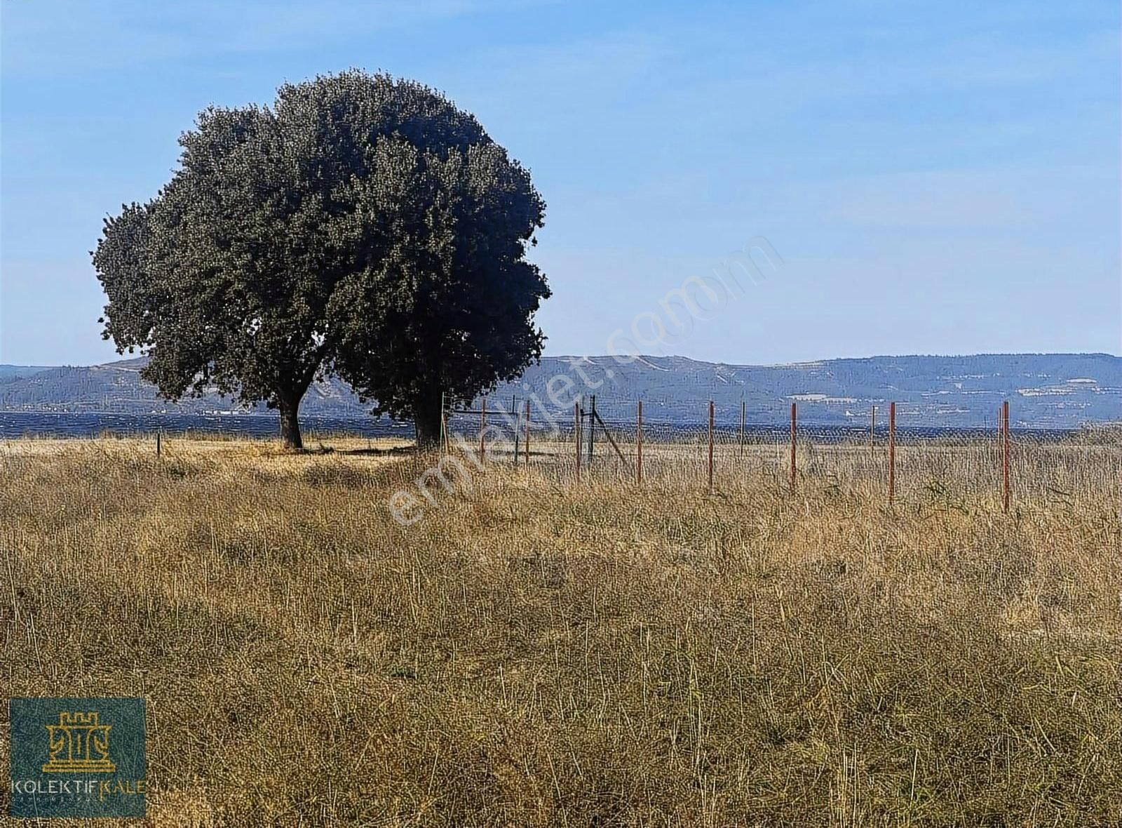 Çanakkale Merkez Özbek Köyü Satılık Tarla ÇANAKKALE ÖZBEK DE DENİZE SIFIR SATILIK HOBİ BAHÇELERİ