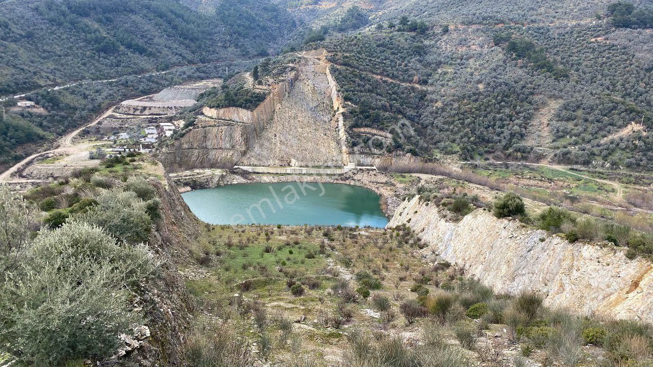 İzmir Bayındır Sarıyurt Köyünde Yatırıma Uygun Zeytin Tarlası - Görsel 8