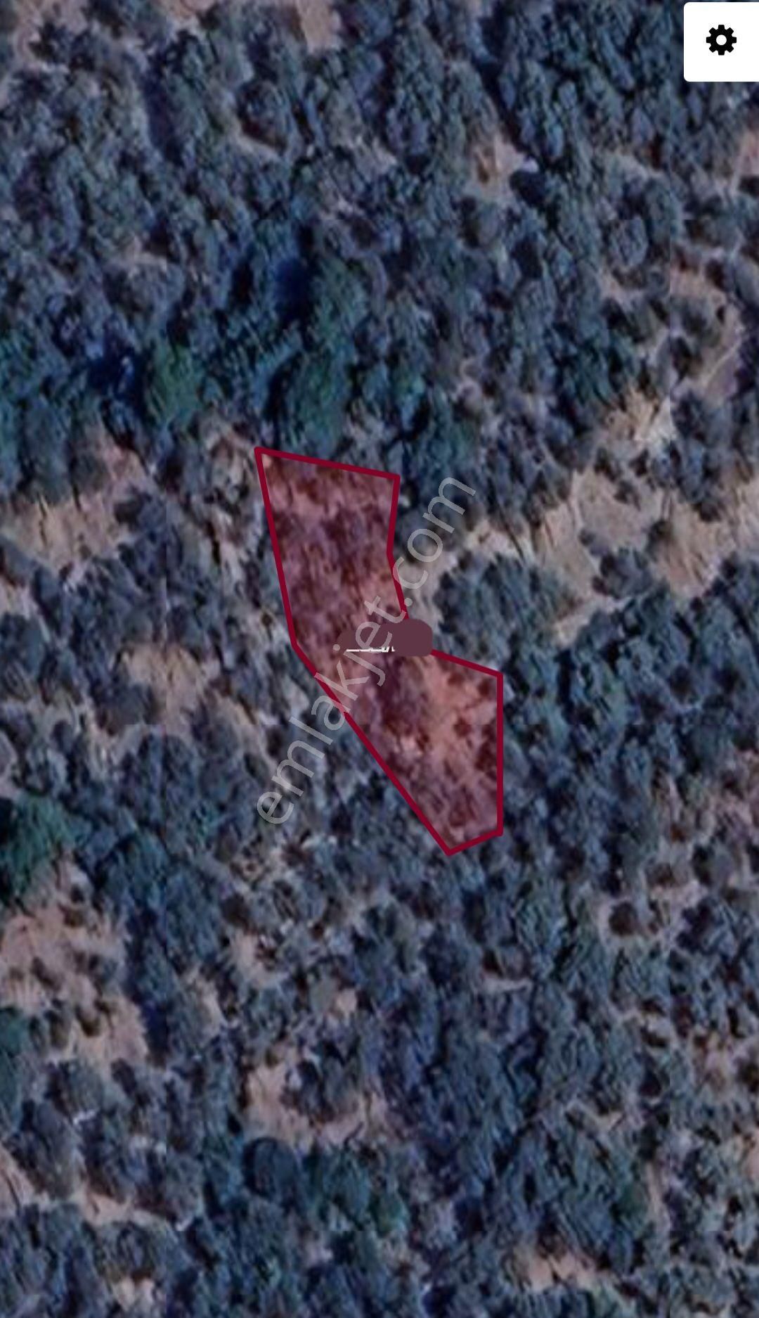 İzmir Bayındır Sarıyurt Köyünde Yatırıma Uygun Zeytin Tarlası - Görsel 11