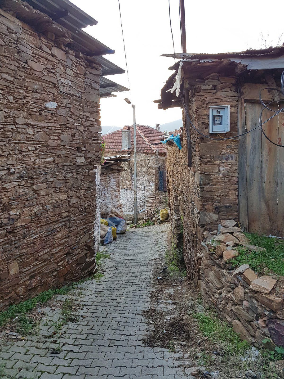 İzmir Bayındır Sarıyurt Köyünde Yatırıma Uygun Zeytin Tarlası - Görsel 4