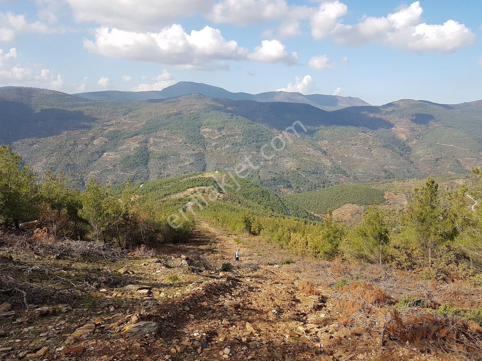 İzmir Bayındır Sarıyurt Köyünde Yatırıma Uygun Zeytin Tarlası - Görsel 7