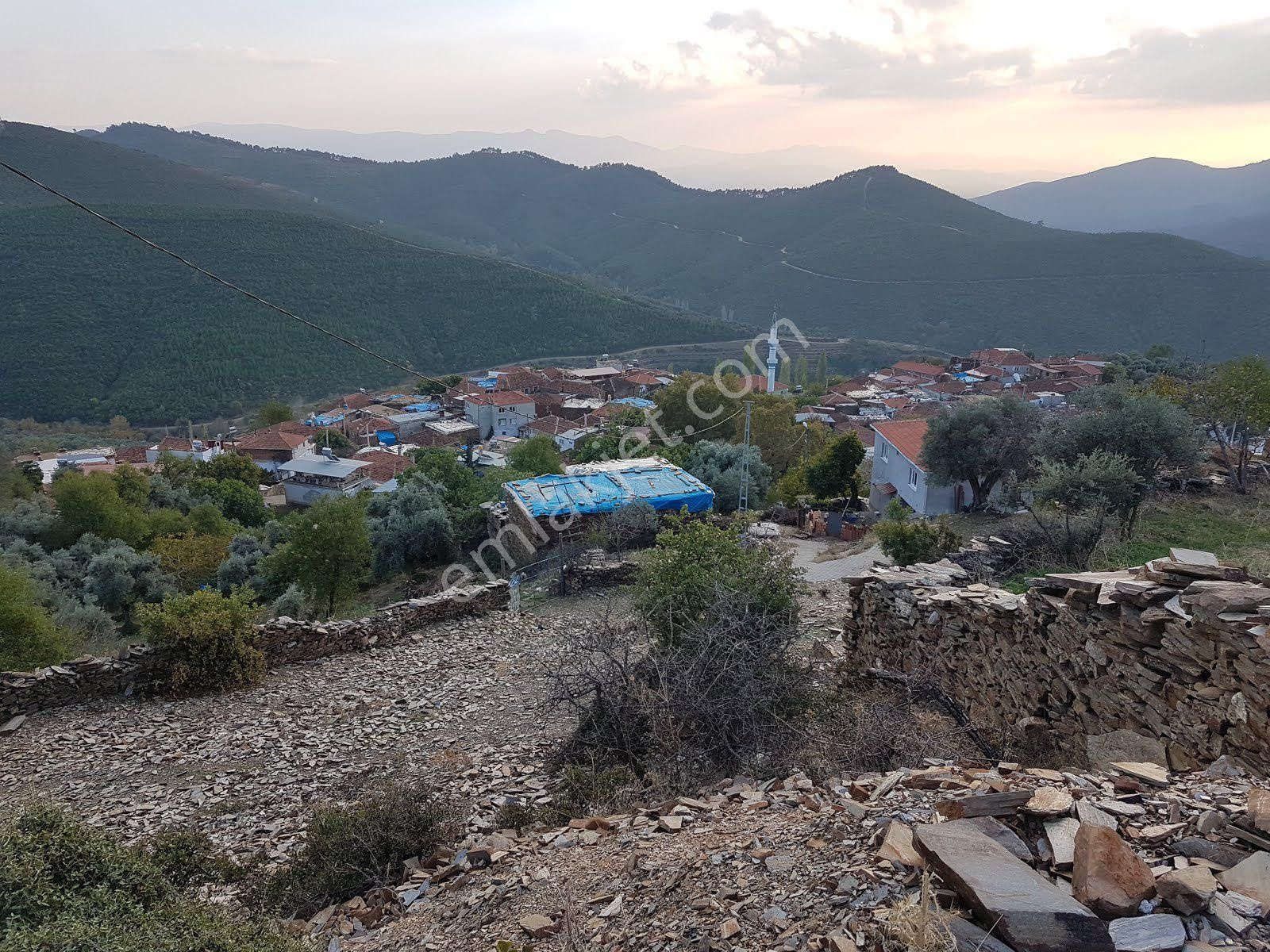 İzmir Bayındır Sarıyurt Köyünde Yatırıma Uygun Zeytin Tarlası - Görsel 9