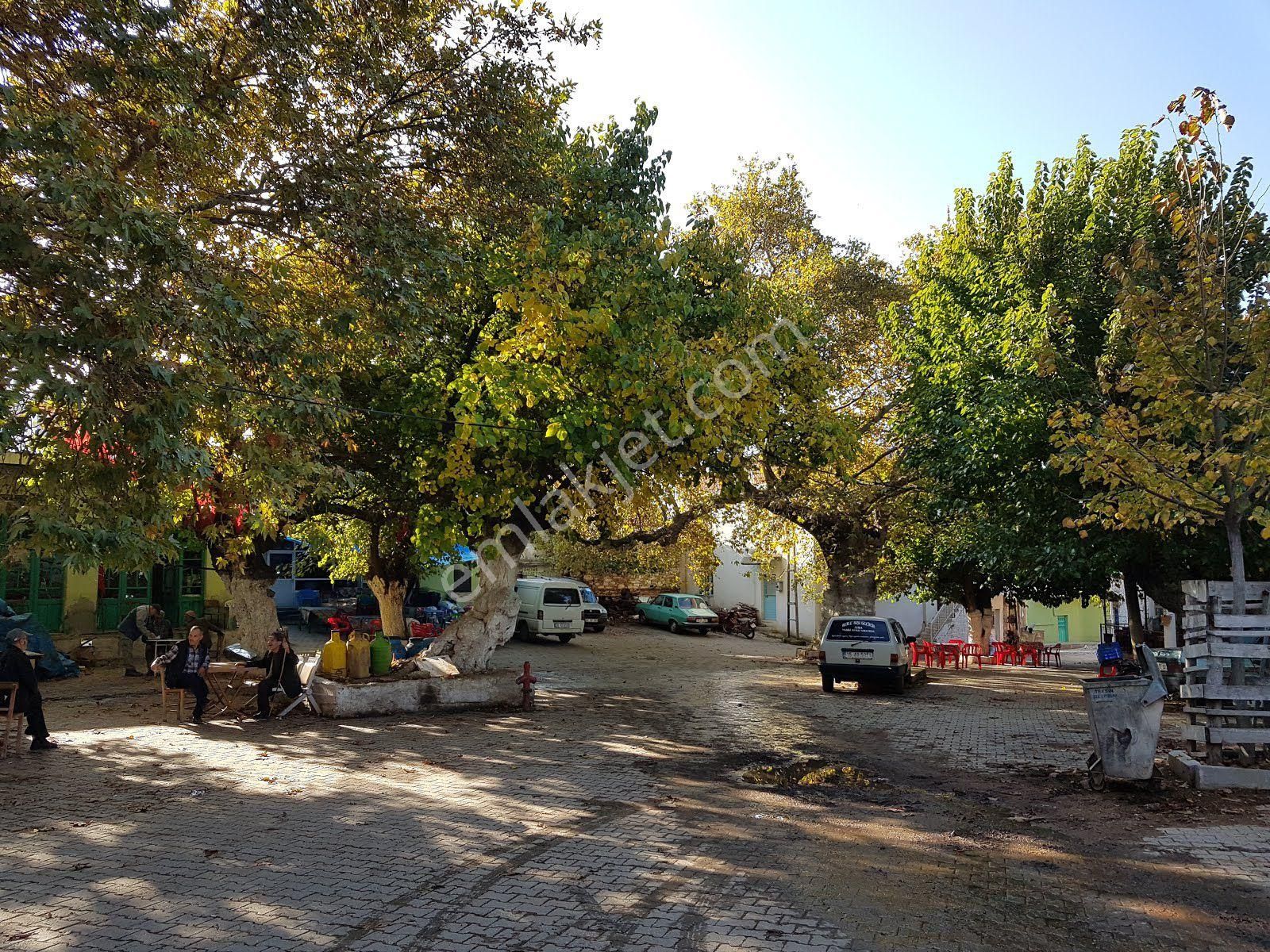 İzmir Bayındır Sarıyurt Köyünde Yatırıma Uygun Zeytin Tarlası - Görsel 5