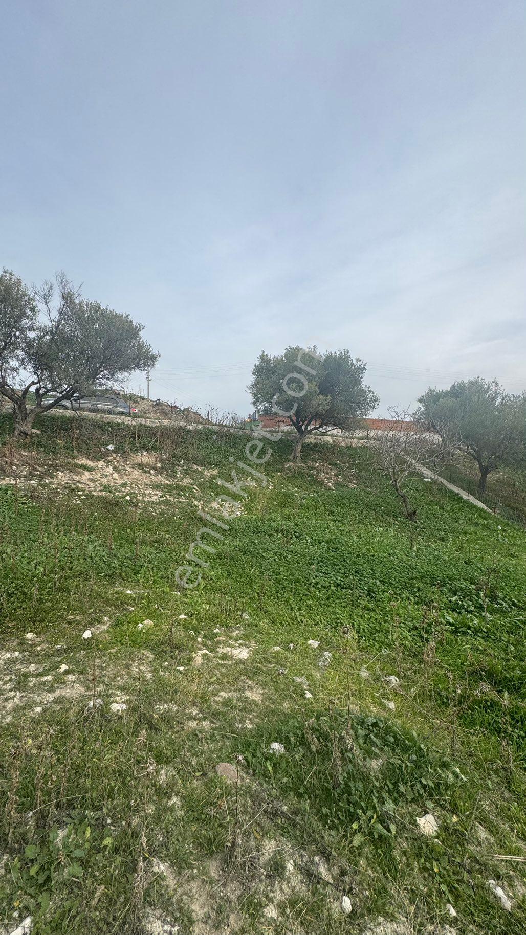 Beyaz Gayrımenkulden Sarıcam Mh Fırsat Süper Villa İmarlı 445 M2 Arsa - Görsel 35