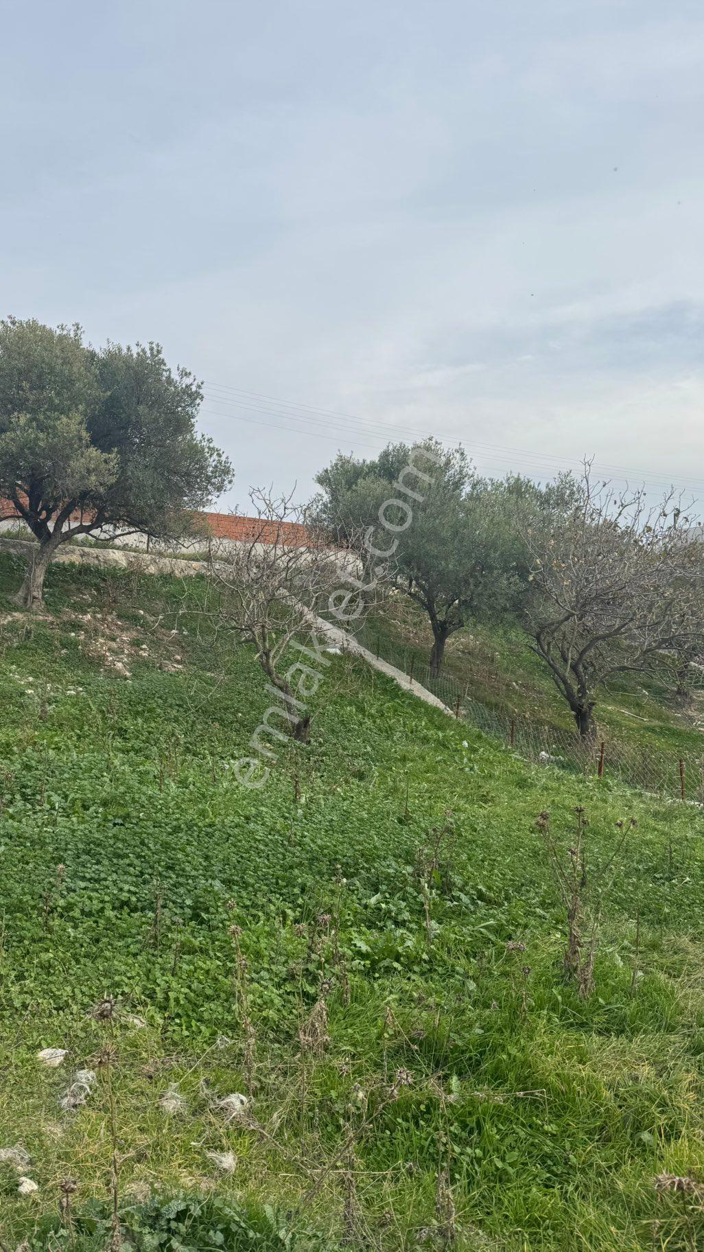 Beyaz Gayrımenkulden Sarıcam Mh Fırsat Süper Villa İmarlı 445 M2 Arsa - Görsel 34