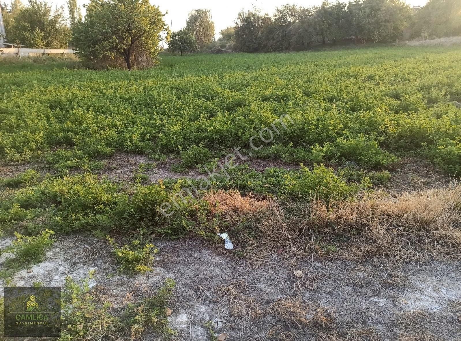 Battalgazi Hatunsuyu Satılık Ticari İmarlı ÇAMLICA GAYRİMENKUL DEN HA TUNSUYU MERKEZDE TİCARİ İMARLI ARSA