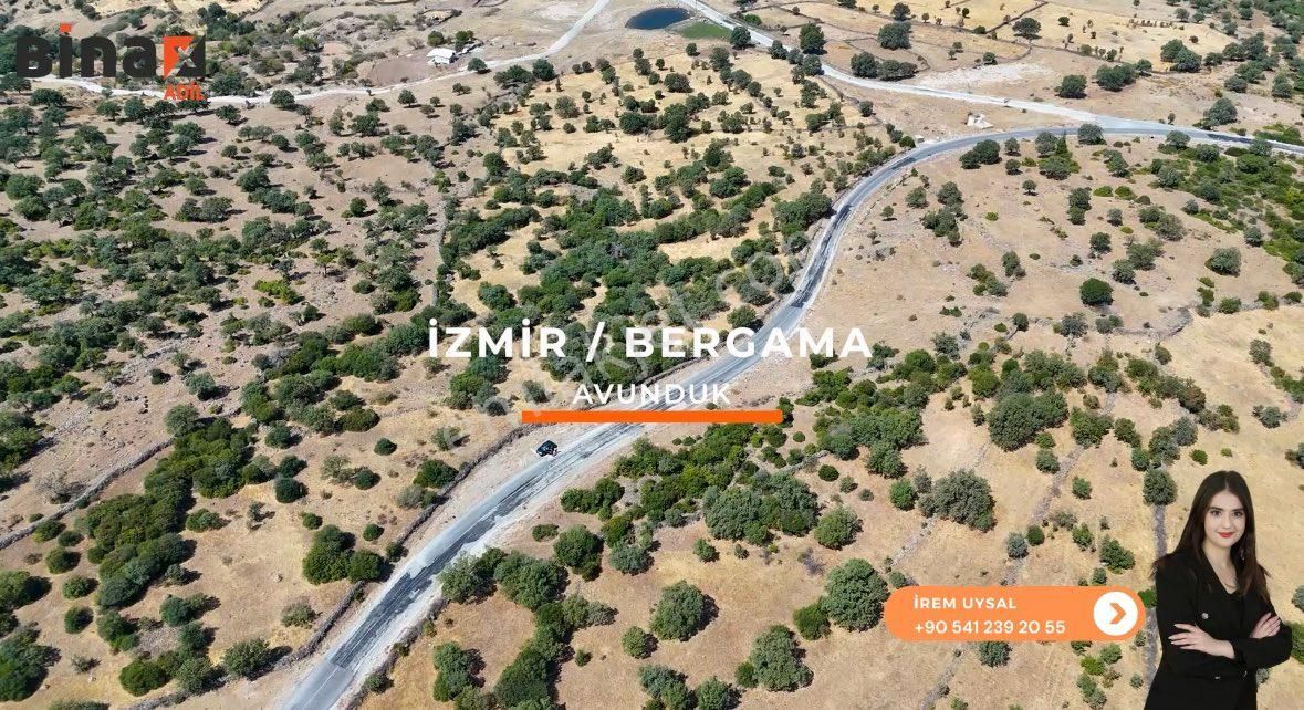 Bergama Avunduk Satılık Tarla  BAZİLİKA GAYRİMENKUL'DEN YOL KENARI SATILIK TARLA 