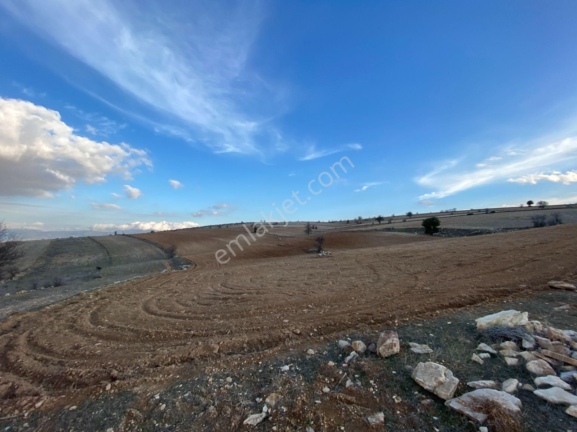 Korkuteli Büyükköy Satılık Tarla Vega Invest'ten Korkuteli Büyükköy'de Yatırımlık Arazi