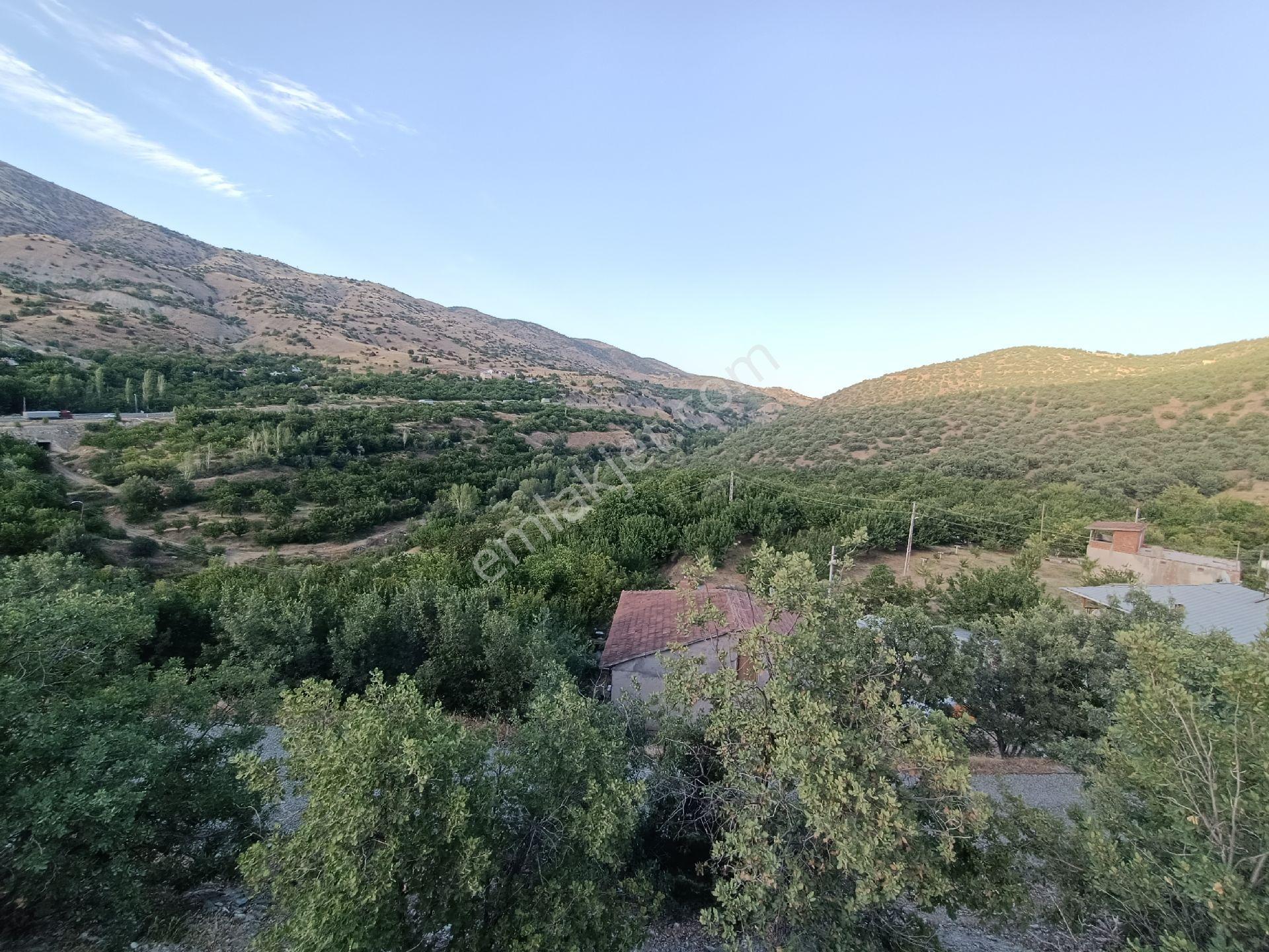 Turanlar Gayrimenkul'den Elazığ'da Satılık Mezra -bağ-bahçe-ev... - Görsel 31