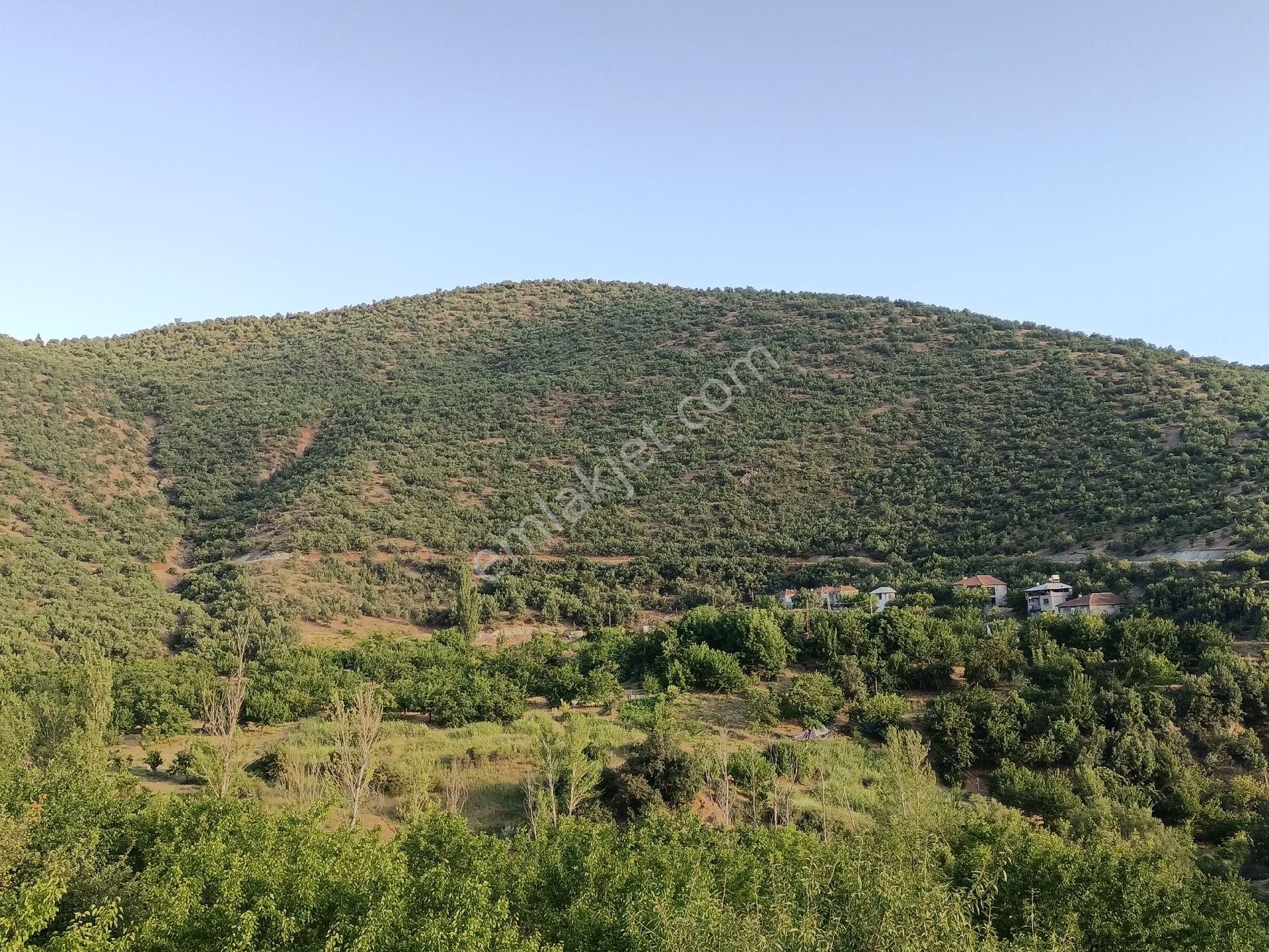 Baskil Karaali Köyü (Şimşek) Satılık Bağ & Bahçe Turanlar Gayrimenkul'den Elazığ'da Satılık Mezra -bağ-bahçe-ev...