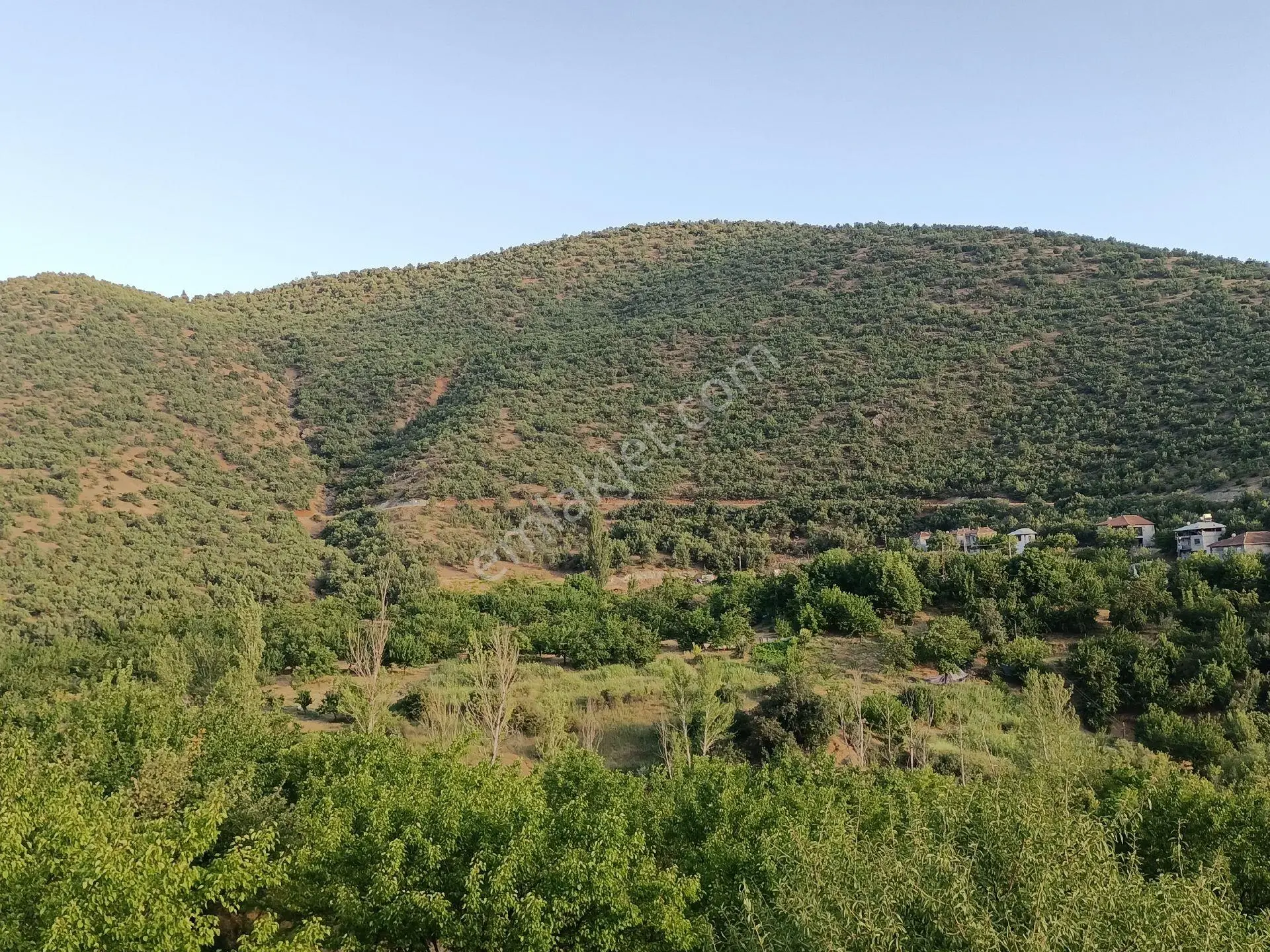 Turanlar Gayrimenkul'den Elazığ'da Satılık Mezra -bağ-bahçe-ev... - Görsel 3