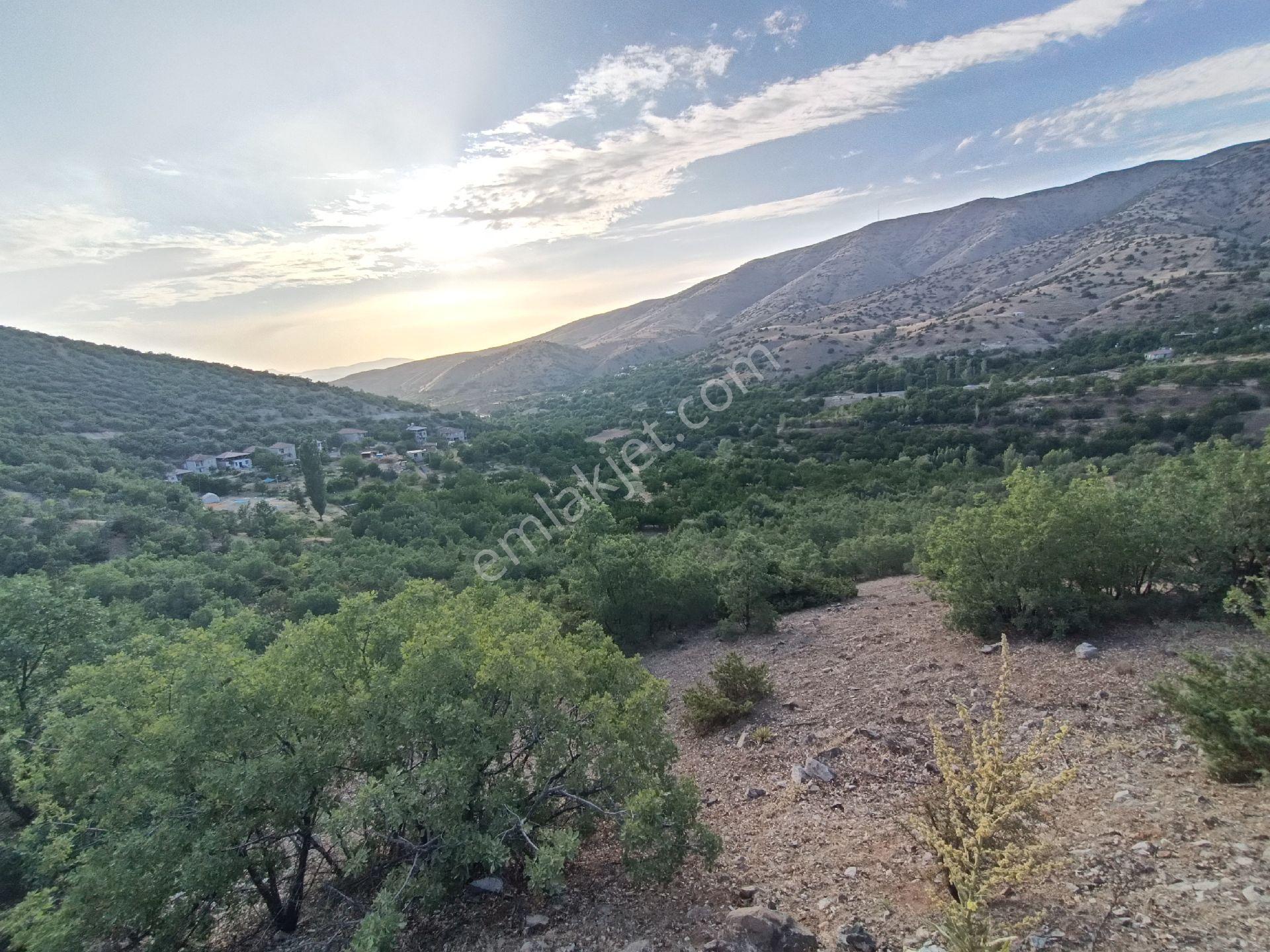 Turanlar Gayrimenkul'den Elazığ'da Satılık Mezra -bağ-bahçe-ev... - Görsel 9