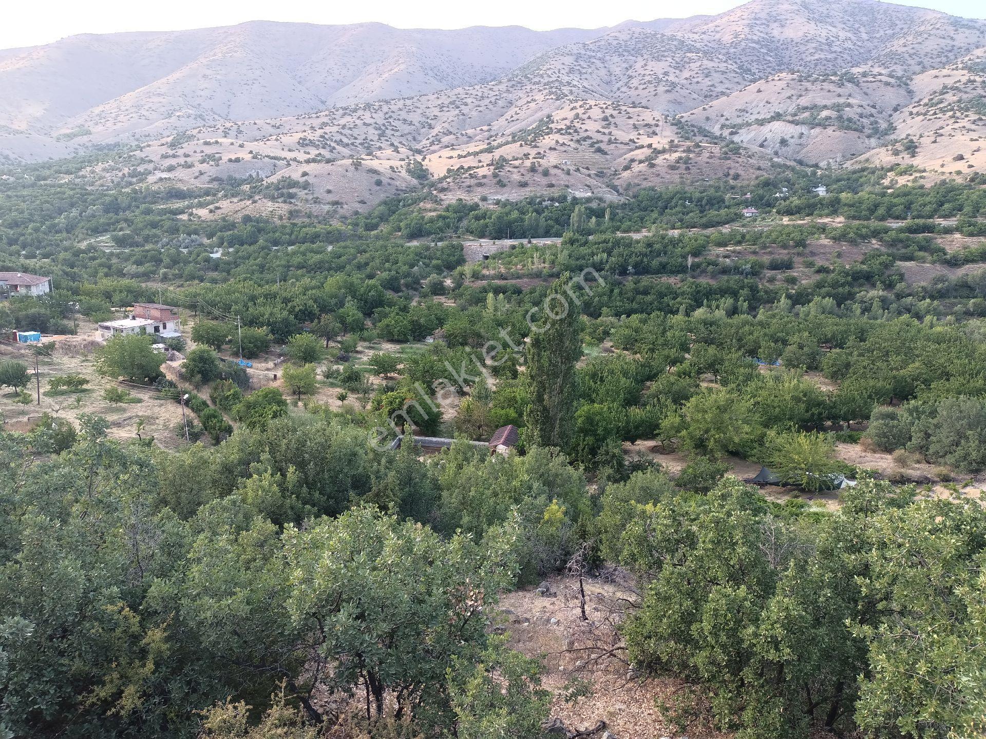 Turanlar Gayrimenkul'den Elazığ'da Satılık Mezra -bağ-bahçe-ev... - Görsel 19