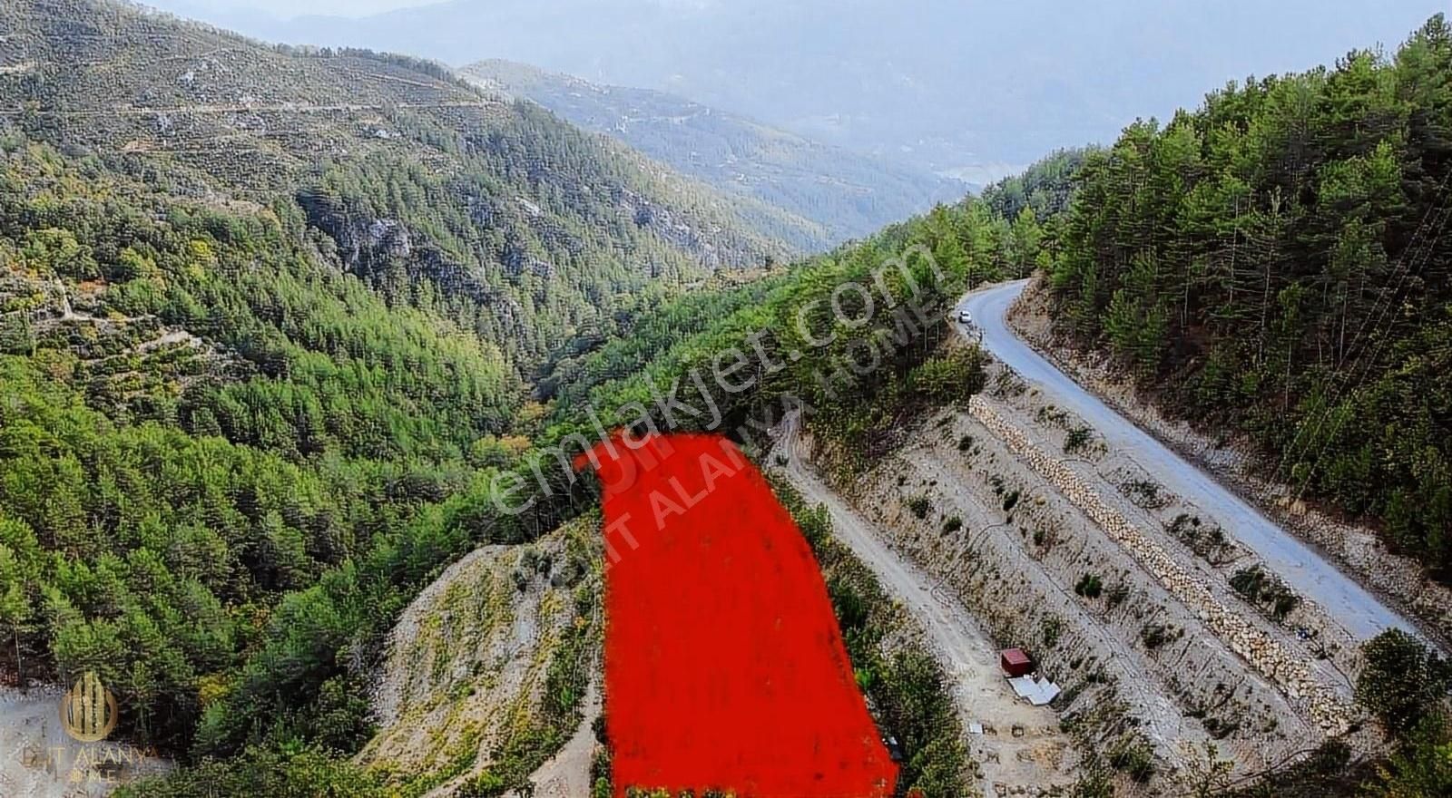 Alanya Uğurlu Satılık Tarla SATILIK 1350 M2 ARKASI ORMAN YOL SU ELEKTRİK VAR FIRSAT TARLA