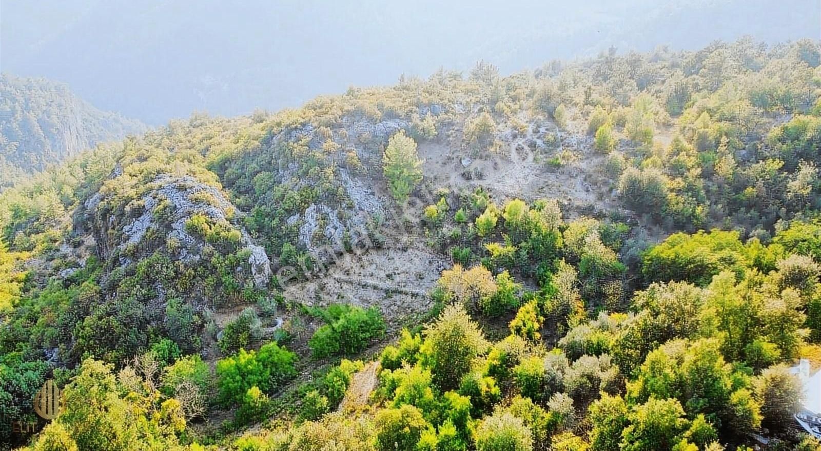 Alanya Bademağacı Satılık Tarla ALANYA BADEMAĞACI KÖYÜNDE UYGUN FİYATA TARLA