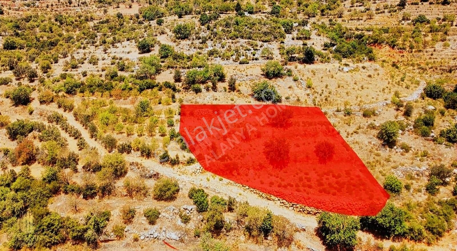 Alanya Yenice Satılık Tarla Doğa Ve Kısmi Deniz Manzaralı Satılık Fırsat Tarla