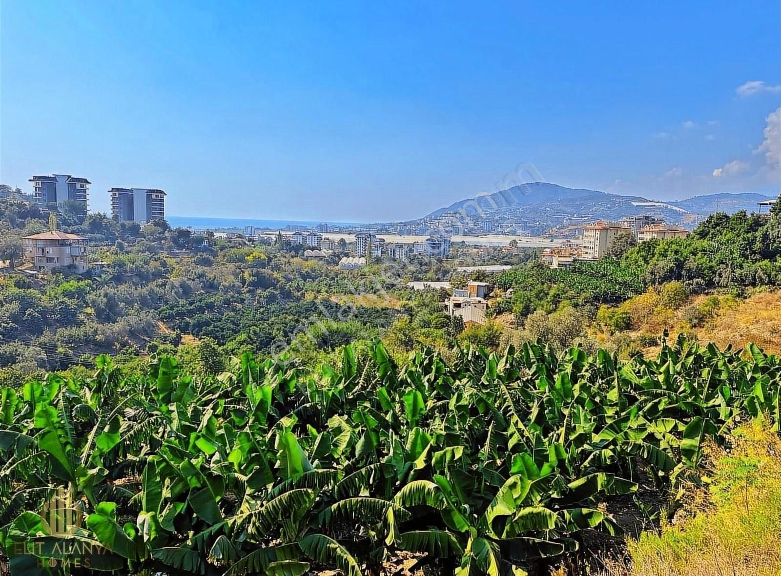 Alanya Demirtaş Satılık Konut İmarlı SATILIK DENİZ MANZARALI FIRSAT KUPON ARSA