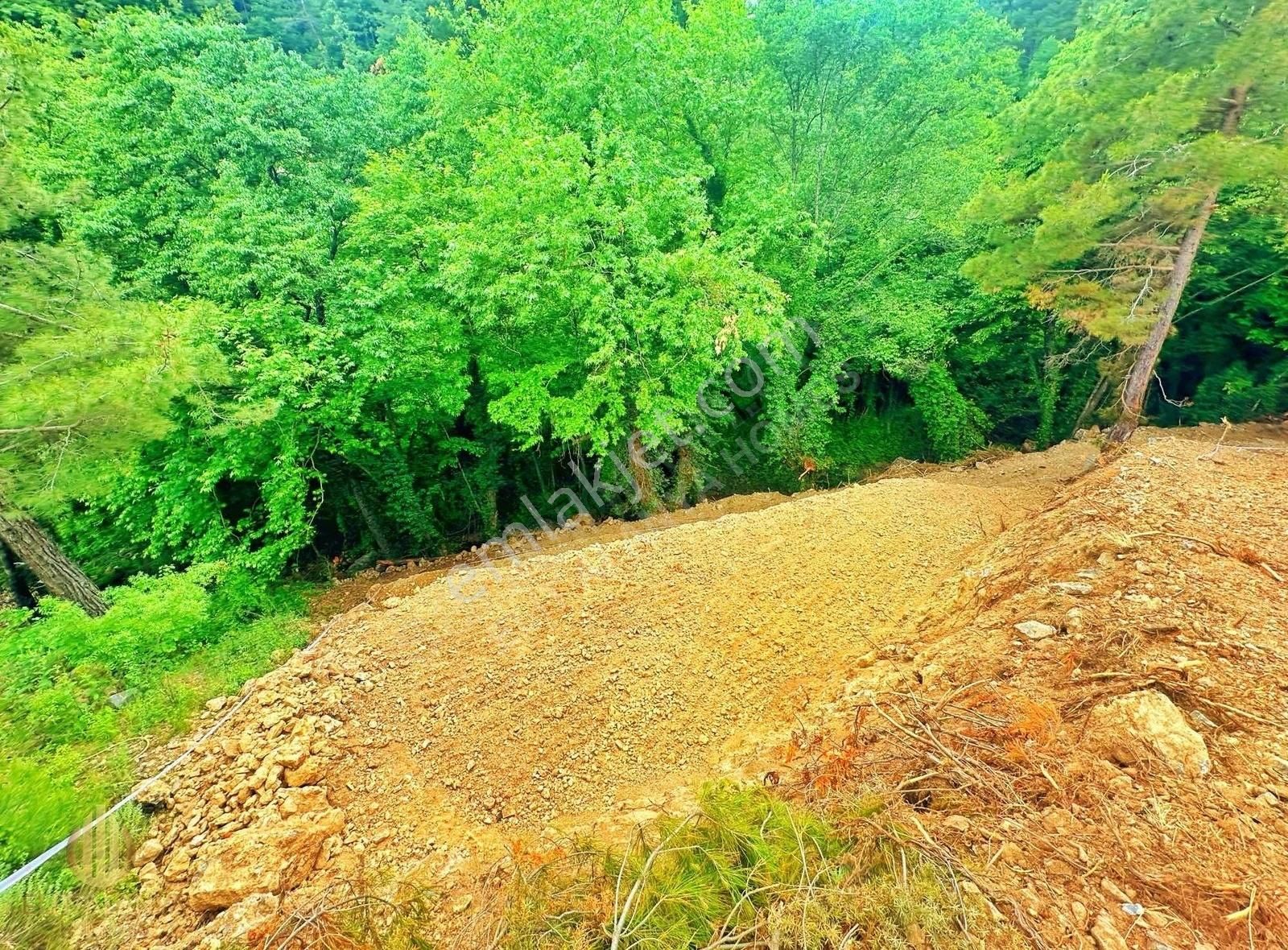 Alanya Uğurlu Satılık Tarla DERE KENARI DOĞA İÇİNDE YOLU SUYU OLAN FIRSAT TARLA