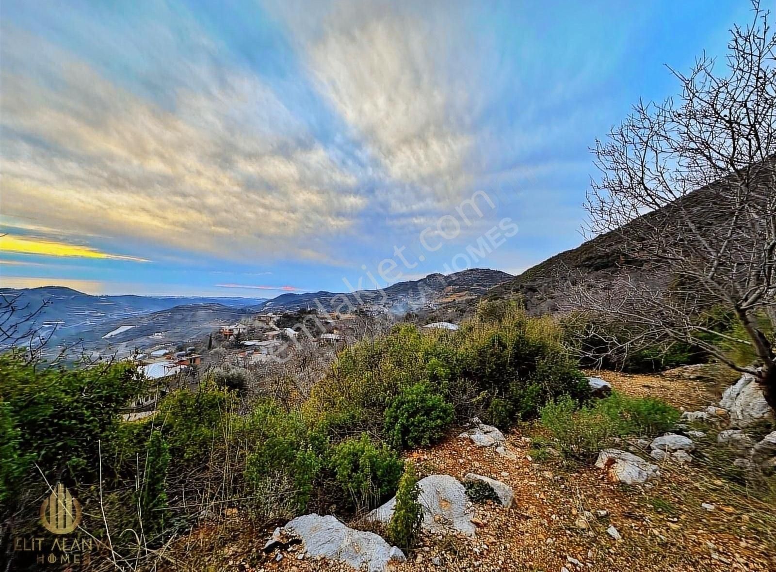 Alanya Yenice Satılık Tarla PANORAMİK FULL DENİZ MANZARALI ÖNÜ KAPANMAZ UYGUN FİYATLI FIRSAT