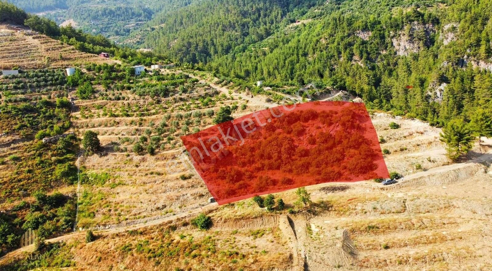 Alanya Uğurlu Satılık Tarla ALANYA UĞURLU DA 3 DÖNÜM FIRSAT TARLA