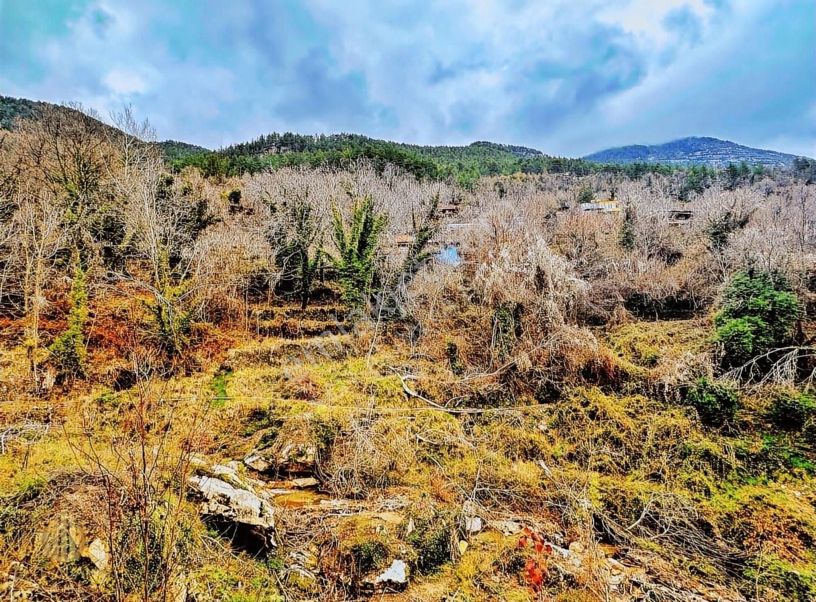 Alanya Uğurlu Satılık Tarla SATILIK 500 M2 YOL SU ELEKTRİK VAR DERE KENARI UYGUN TARLA