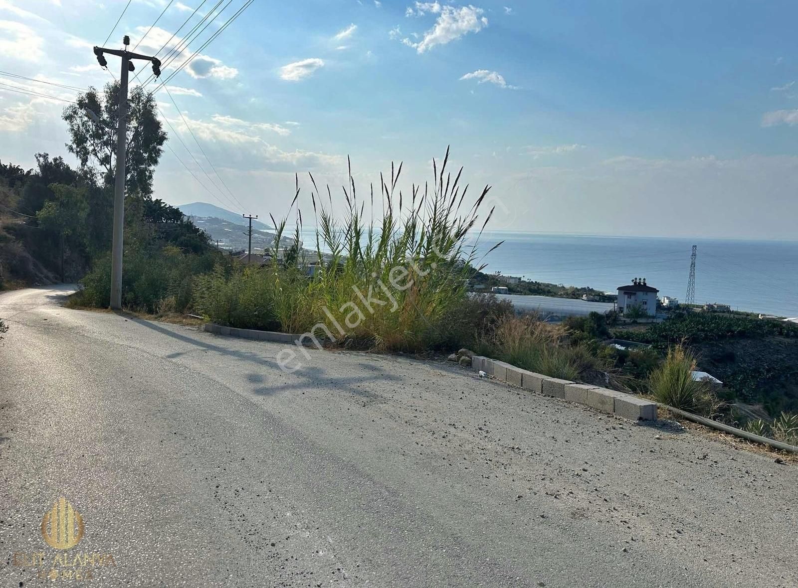 Alanya Seki Satılık Tarla SATILIK EMSALSİZ PANORAMİK DENİZ MANZARALI 2 VİLLA YAPMINA UYGUN