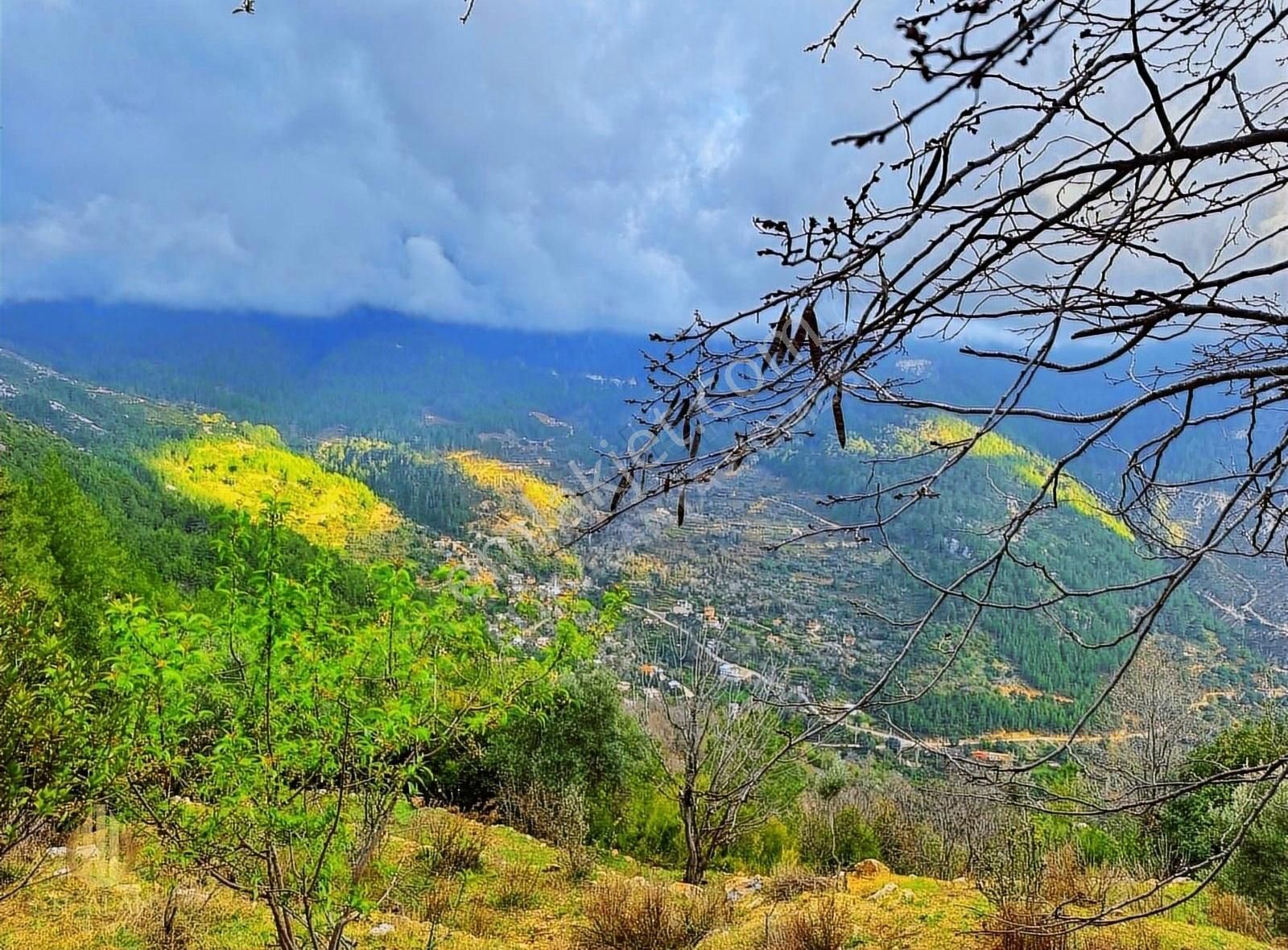 Alanya Bademağacı Satılık Tarla 500 M2 FULL DOĞA ORMAN VE KÖY MANZARALI YOLA YAKIN FIRSAT TARLA