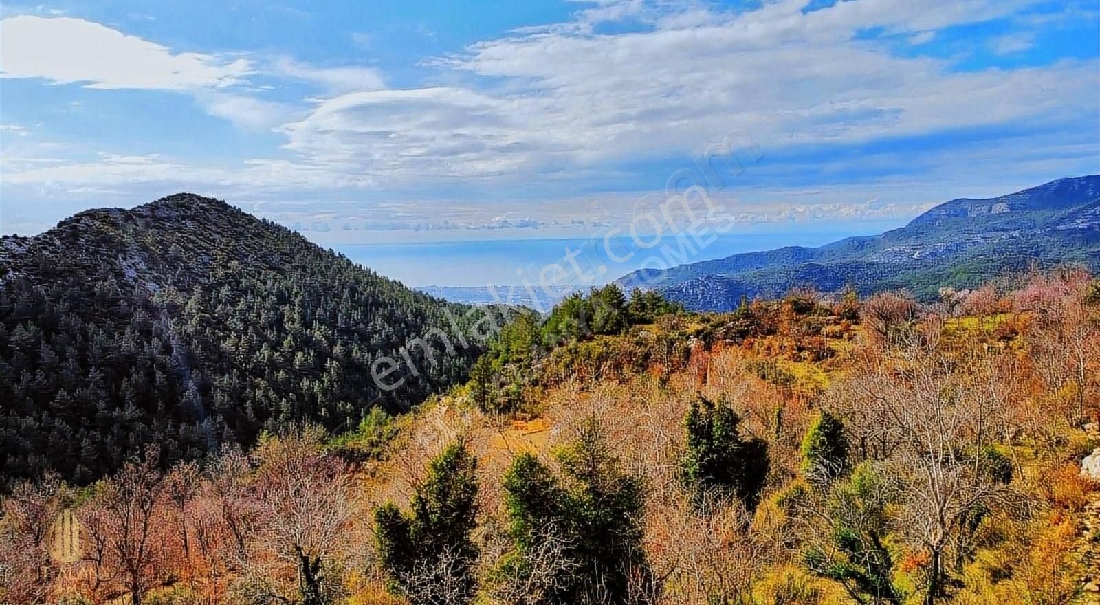 Alanya Bademağacı Satılık Tarla SATILIK FULL DENİZ VE DOĞA MANZARALI UYGUN FİYATLI TARLA