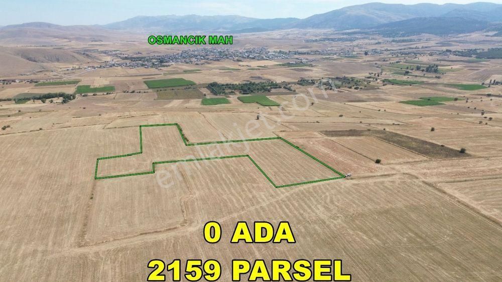 Kadınhanı Osmancık Satılık Tarla Konya / Kadınhanı / Osmancık'da 17.900 M² Müstakil Fırsat Tarla