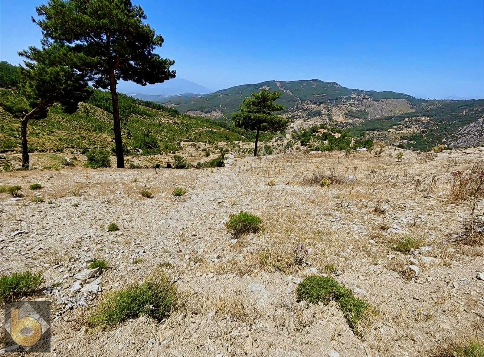 Seydikemer Bayırköy Satılık Tarla Muğla Seydikemer De Satılık Fırsat Tarla