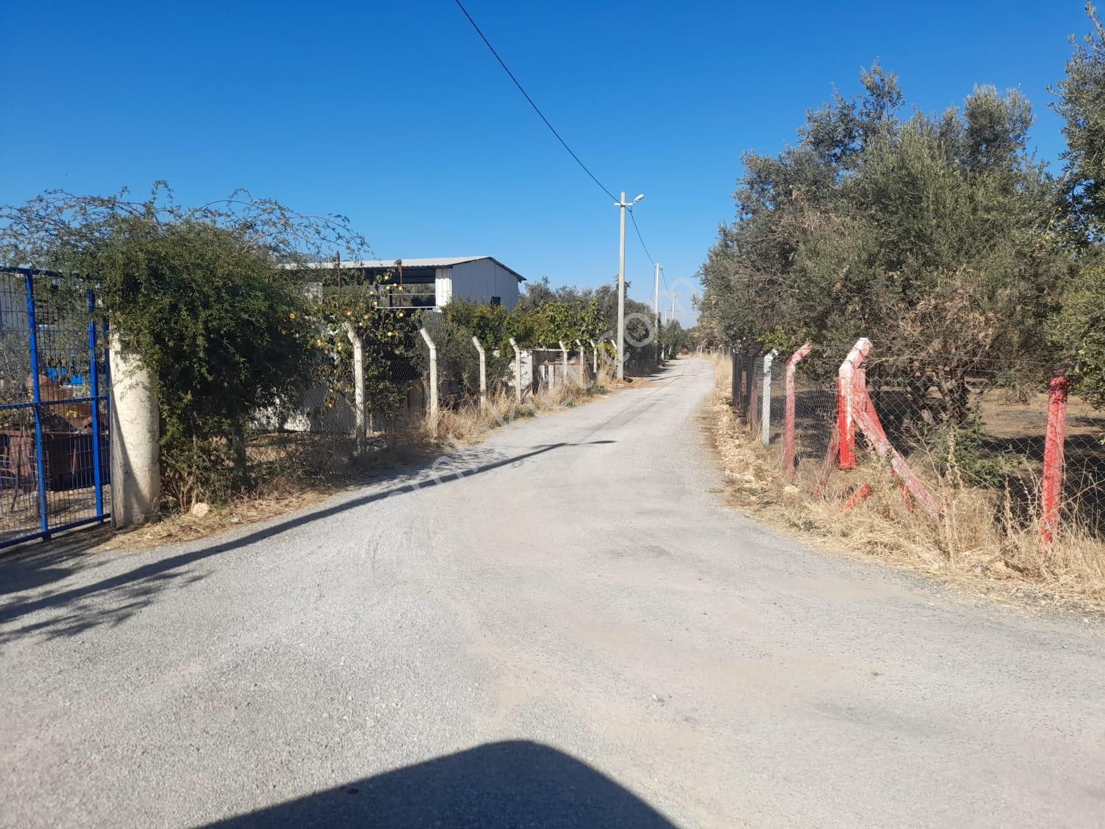 Kemalpaşa Armutlu 85. Yıl Cumhuriyet Satılık Tarla Armutlu Yol Cehpeli Tek Tapu