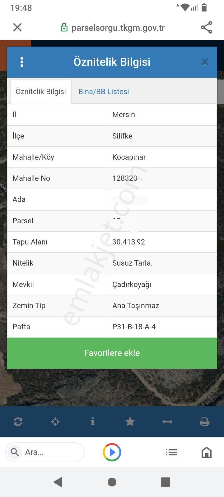 50 Dönüm Kelepir Zeytinlik - Görsel 2