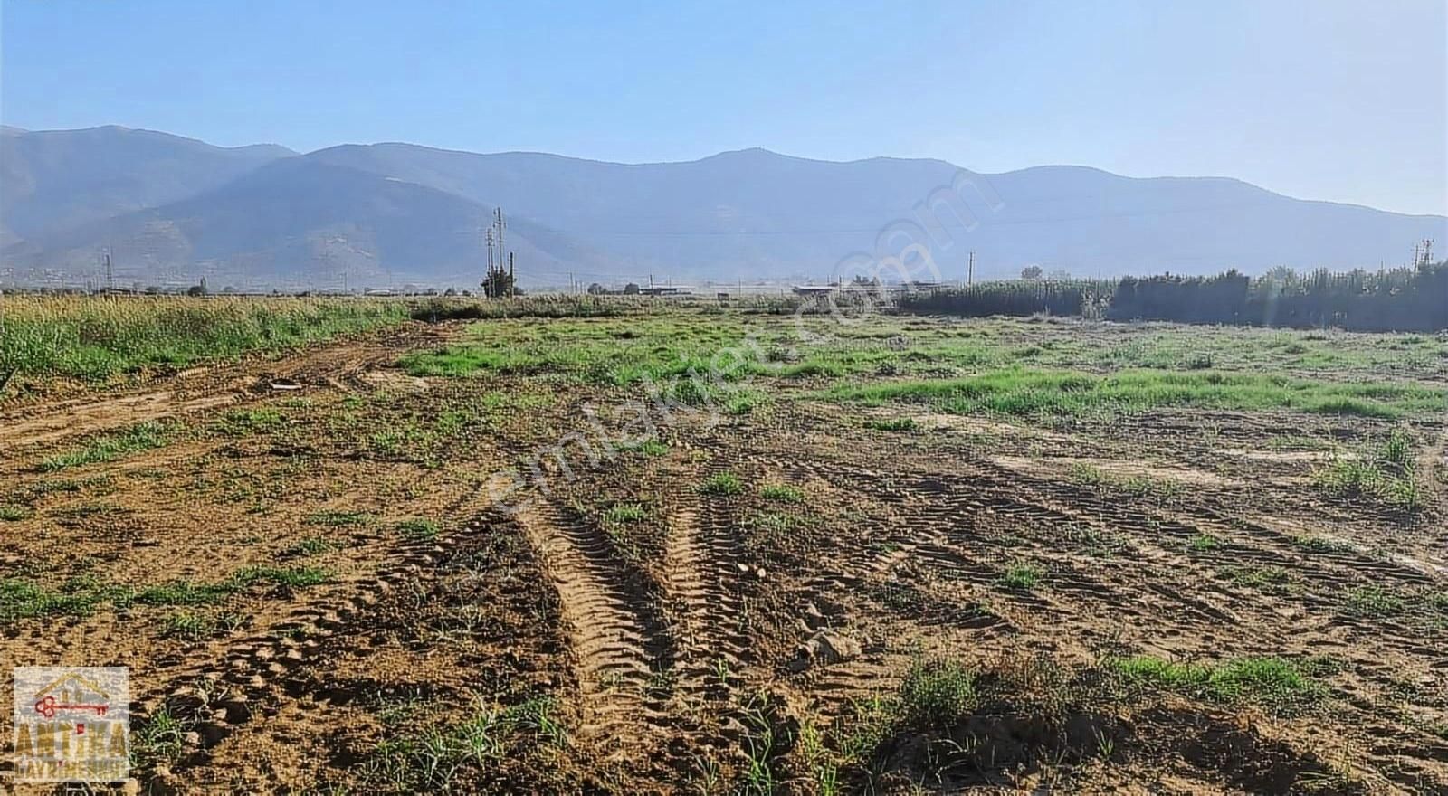 Ödemiş Konaklı Satılık Tarla ANTİKA GAYRİMENKUL'DEN KONAKLI'DA ELEKTRİK VE SUYU OLAN TARLA