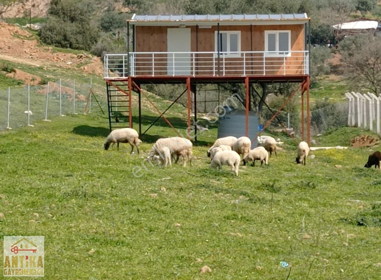 Ödemiş Ocaklı Satılık Tarla ANTİKA GAYRİMENKULDEN ŞEHİR MERKEZİNE YAKIN KONUMDA HOBİ BAHÇESİ