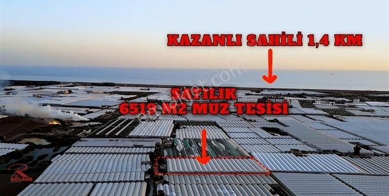 Akdeniz Kazanlı Satılık Tarla KAZANLIDA 6519M2 3 YILLIK ORJ. MUZ TESİSİ