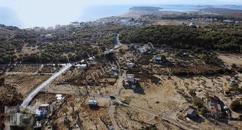 Ayvalık Küçükköy Satılık Sit Alanı Ayvalık sarmısaklı Badavut mevkiinden satılık arsa