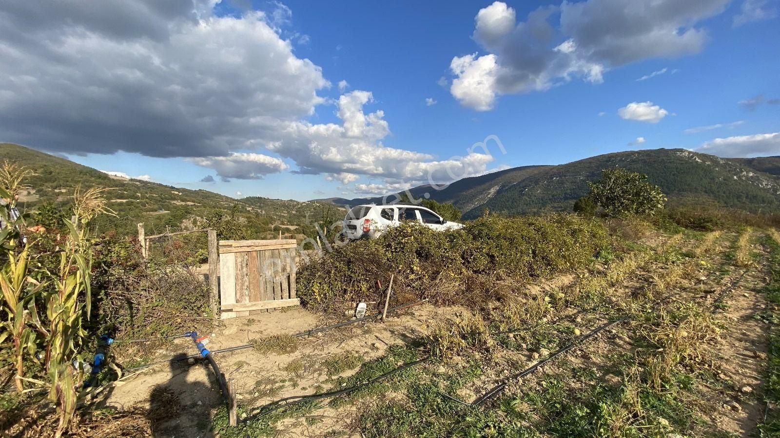 Gönen Karasukabaklar Satılık Tarla Gönen Karasukabaklar 4.700 M2 Resmi Kadastral Yolu Olan Tarla