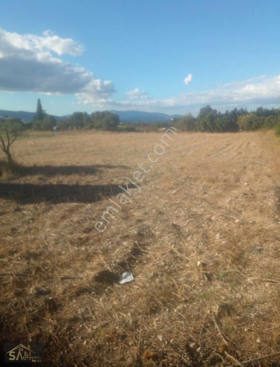 Urla Torasan Satılık Konut İmarlı San Gayrimenkul Den Satılık İki Villalik Arsa