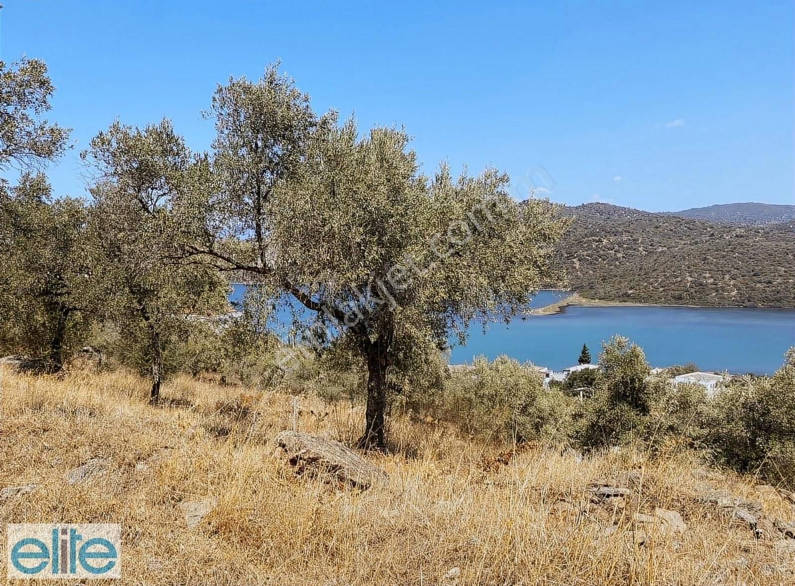 Muğla Bodrum Milas Arası Boğaziçi Merkezde Kupon Arsa - Görsel 2