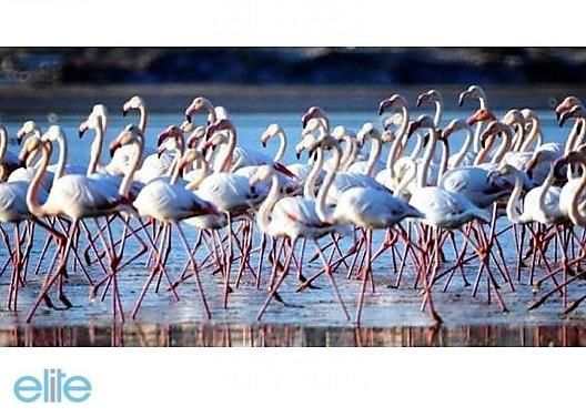 Muğla Bodrum Milas Arası Boğaziçi Merkezde Kupon Arsa - Görsel 14