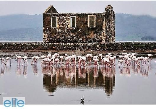 Muğla Bodrum Milas Arası Boğaziçi Merkezde Kupon Arsa - Görsel 13