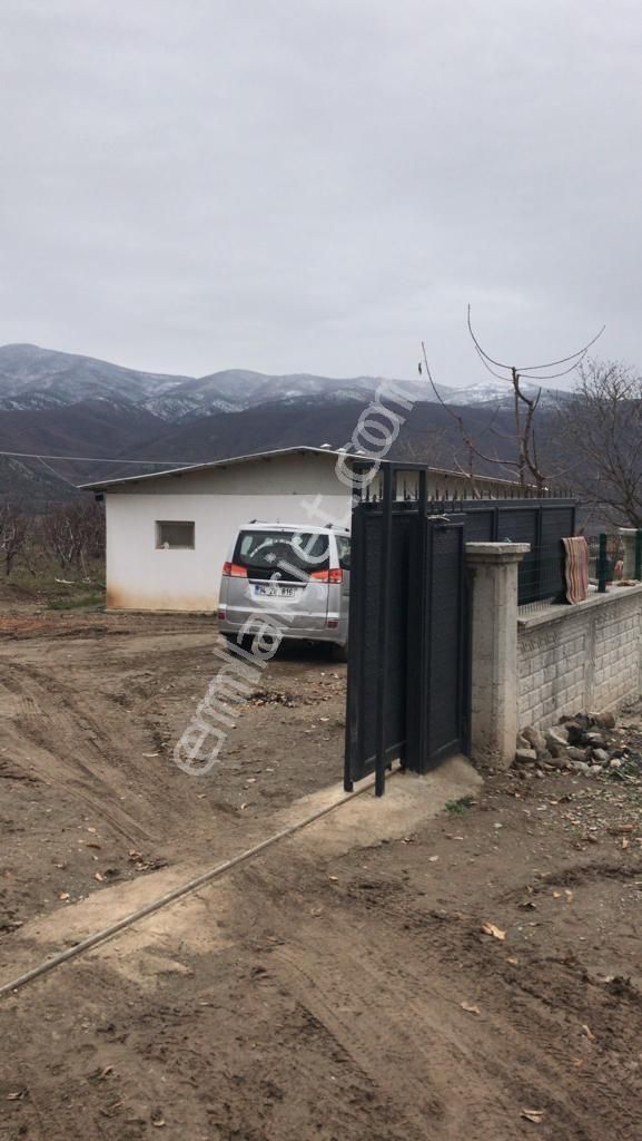 Devren Kiralık Faal 3000adet Yumurta Tavuğu Olan Meyveli Çiftlik
