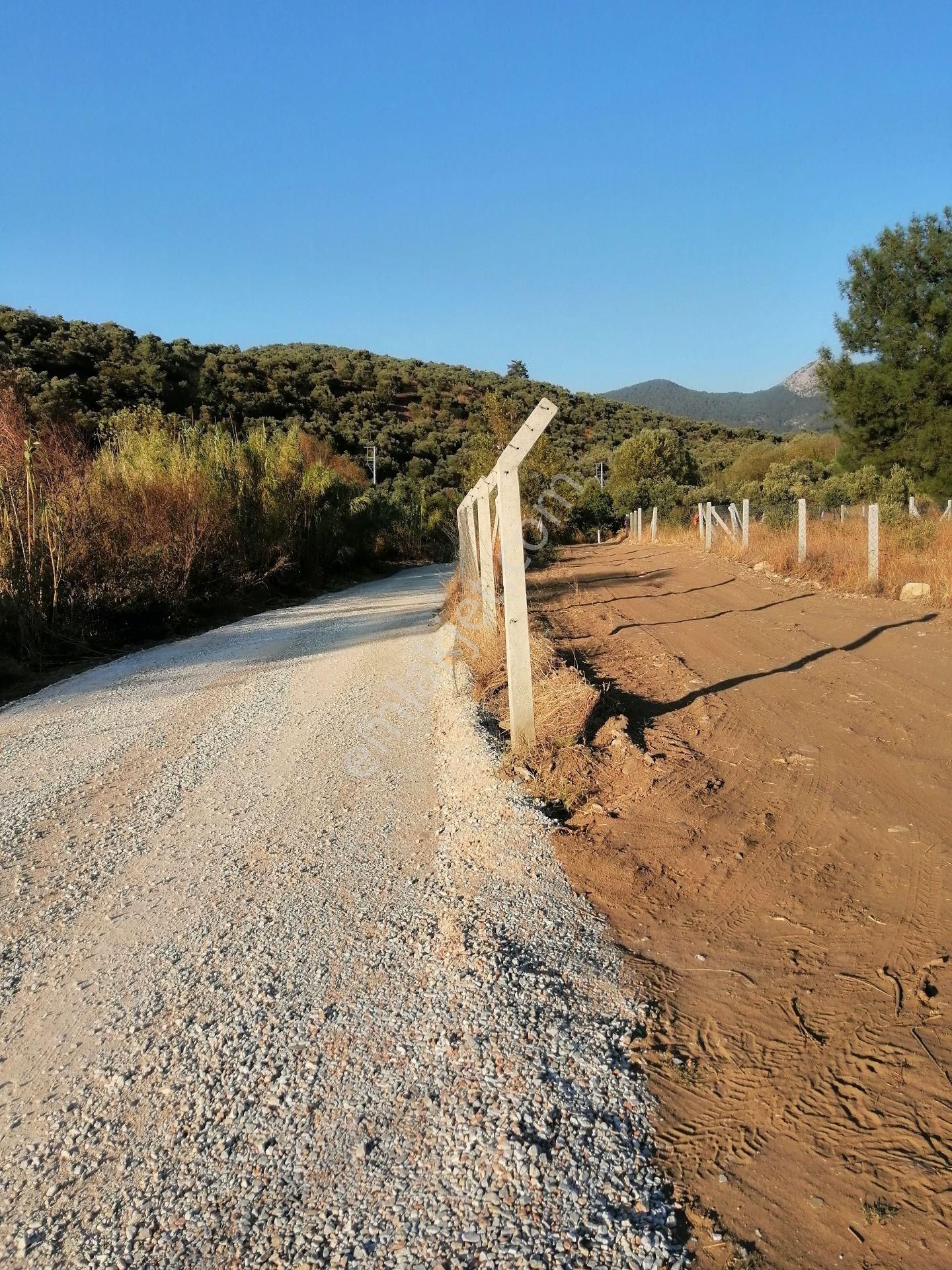 Torbalı Karakızlar Satılık Tarla İzmir Torbalı Gold Emlaktan Satılık Bahçe