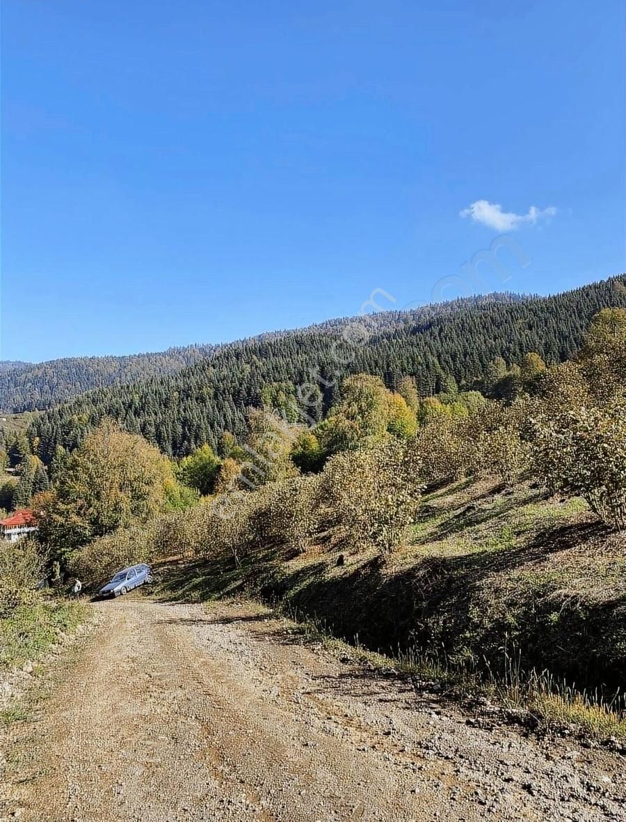 Hendek Yeniyayla Satılık Konut İmarlı Sakarya/hendek/yeniyayla Köyünde,1000m2 Satılık Parseller