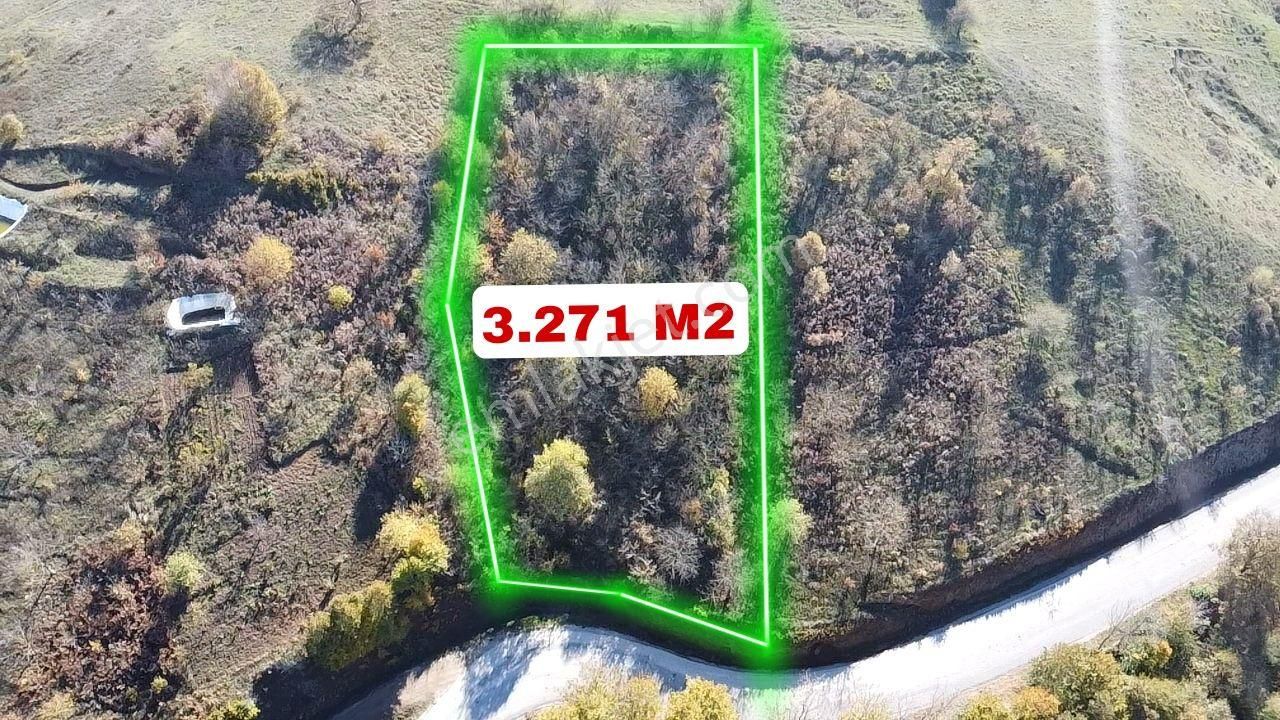 Orhangazi Mahmudiye Satılık Tarla MAHMUDİYE KÖYÜNDE-MANZARALI ASFALTA CEPHE 3.270 M2 HOBİ BAHÇESİ 