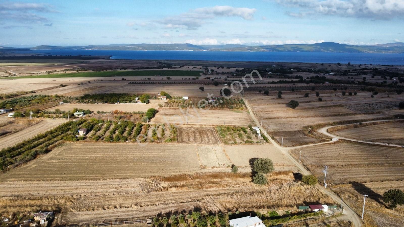 Çanakkale Merkez Musaköy Köyü Satılık Tarla MUSAKÖY'DE FULL DENİZ MANZARALI 1350m2 SATILIK TARLA HAN EMLAK OTOMOTİV'DEN 