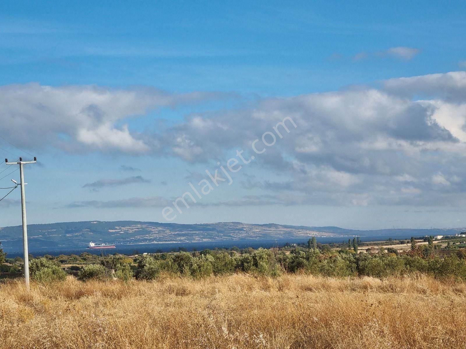 Musaköy'de Full Deniz Manzaralı 1350m2 Satılık Tarla Han Emlak Otomotiv'den - Görsel 6