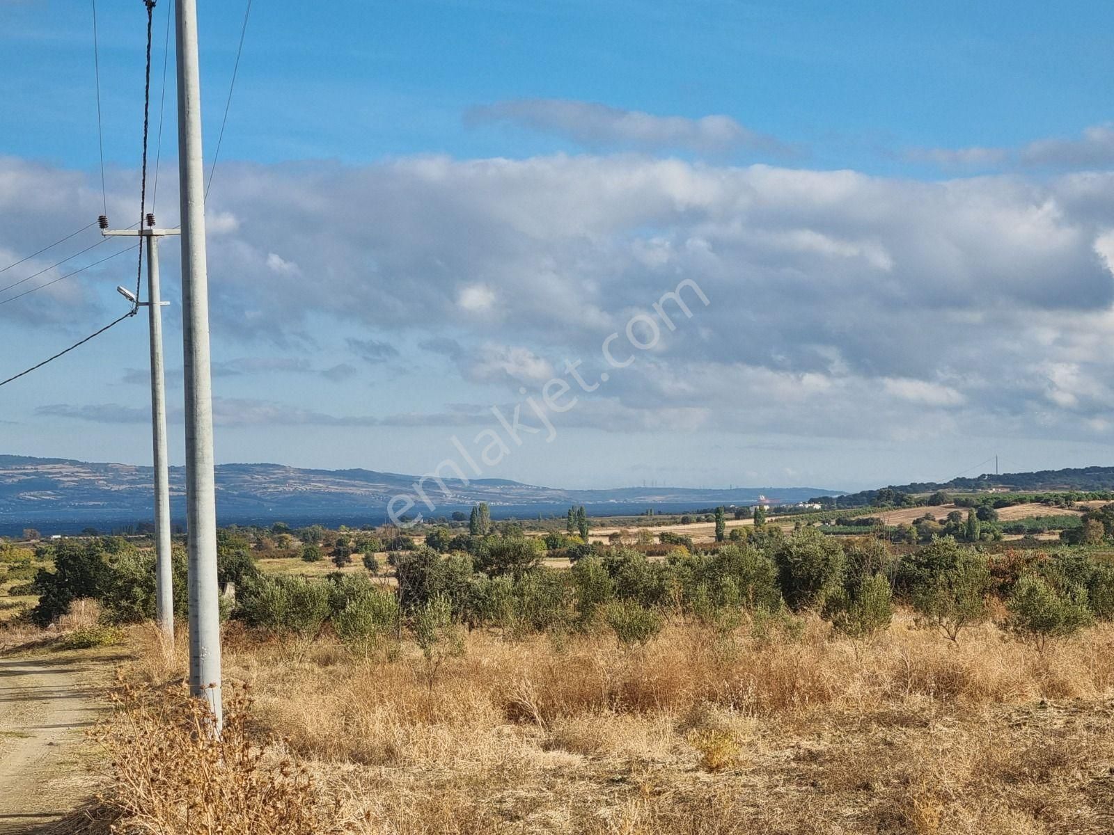 Musaköy'de Full Deniz Manzaralı 1350m2 Satılık Tarla Han Emlak Otomotiv'den - Görsel 15