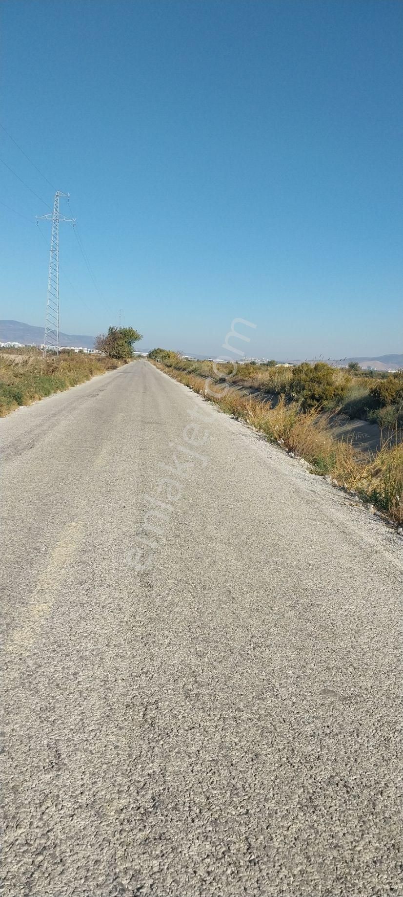 Menemen Süzbeyli Satılık Tarla Rose Emlak'tan Satılık Arazi